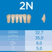 Dente Biotone Anterior Inferior 2N