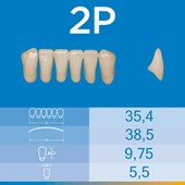 Dente Biotone Anterior Inferior 2P