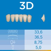 Dente Biotone Anterior Inferior 3D
