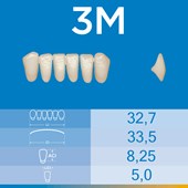 Dente Biotone Anterior Inferior 3M