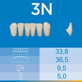 Dente Biotone Anterior Inferior 3N