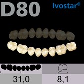 Dente Gnathostar Posterior Inferior - D80