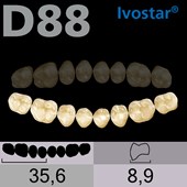 Dente Gnathostar Posterior Inferior - D88