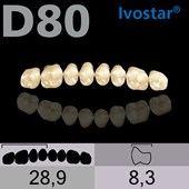Dente Gnathostar Posterior Superior - D80
