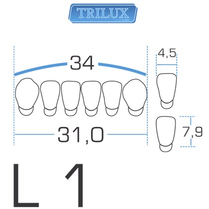 Dente Trilux Anterior Inferior L1